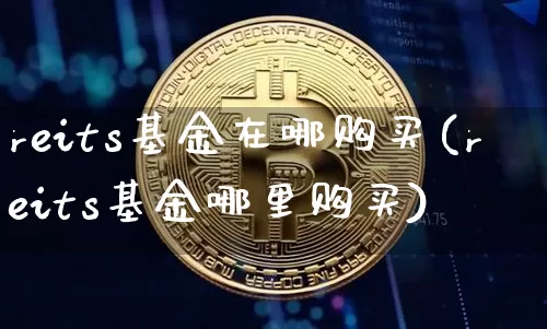 reits基金在哪购买(reits基金哪里购买)_https://www.cangshenghg.com_北交所_第1张