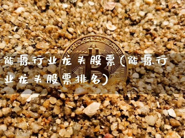能源行业龙头股票(能源行业龙头股票排名)_https://www.cangshenghg.com_北交所_第1张