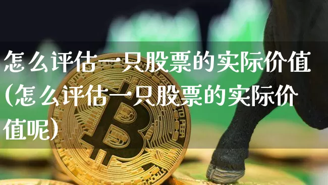 怎么评估一只股票的实际价值(怎么评估一只股票的实际价值呢)_https://www.cangshenghg.com_财经新闻_第1张