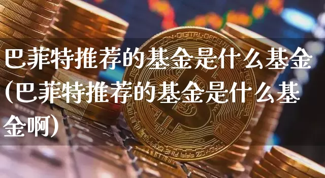 巴菲特推荐的基金是什么基金(巴菲特推荐的基金是什么基金啊)_https://www.cangshenghg.com_财经新闻_第1张