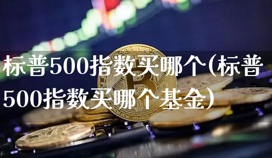 标普500指数买哪个(标普500指数买哪个基金)_https://www.cangshenghg.com_科创板_第1张