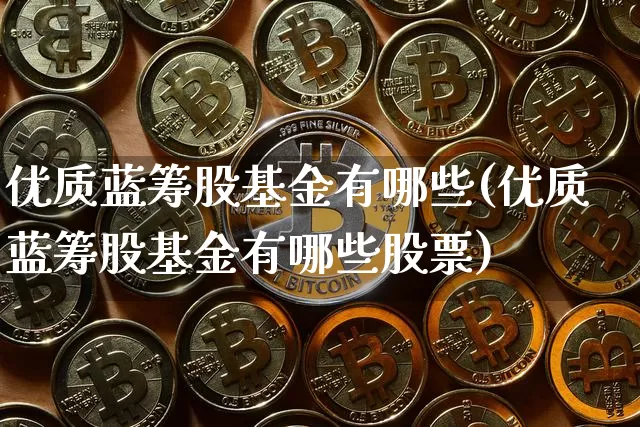 优质蓝筹股基金有哪些(优质蓝筹股基金有哪些股票)_https://www.cangshenghg.com_财经新闻_第1张
