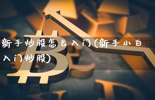 新手炒股怎么入门(新手小白入门炒股)_https://www.cangshenghg.com_创业板_第1张