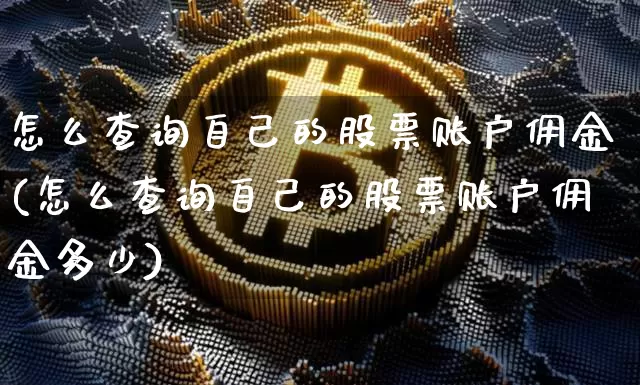怎么查询自己的股票账户佣金(怎么查询自己的股票账户佣金多少)_https://www.cangshenghg.com_北交所_第1张