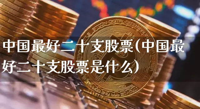 中国最好二十支股票(中国最好二十支股票是什么)_https://www.cangshenghg.com_A股_第1张