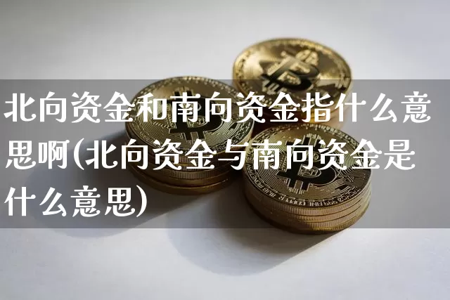 北向资金和南向资金指什么意思啊(北向资金与南向资金是什么意思)_https://www.cangshenghg.com_北交所_第1张