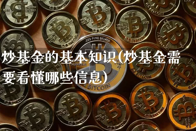 炒基金的基本知识(炒基金需要看懂哪些信息)_https://www.cangshenghg.com_科创板_第1张