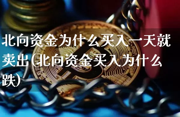 北向资金为什么买入一天就卖出(北向资金买入为什么跌)_https://www.cangshenghg.com_创业板_第1张