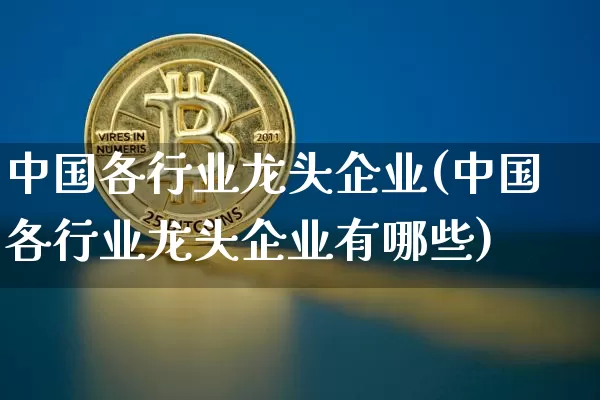 中国各行业龙头企业(中国各行业龙头企业有哪些)_https://www.cangshenghg.com_北交所_第1张