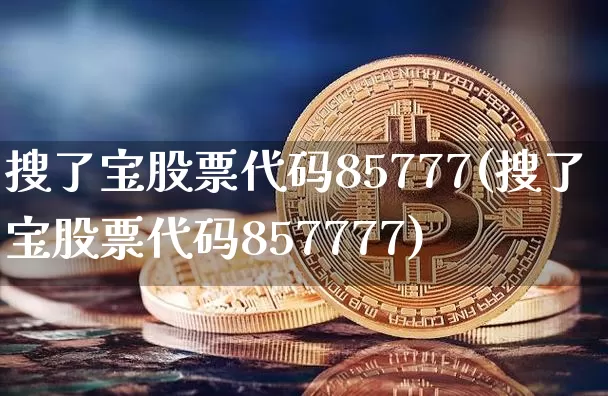 搜了宝股票代码85777(搜了宝股票代码857777)_https://www.cangshenghg.com_北交所_第1张