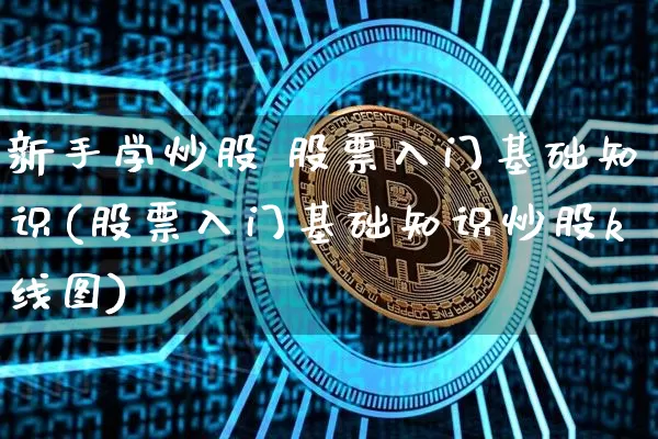 新手学炒股 股票入门基础知识(股票入门基础知识炒股k线图)_https://www.cangshenghg.com_科创板_第1张