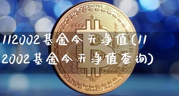 112002基金今天净值(112002基金今天净值查询)_https://www.cangshenghg.com_北交所_第1张