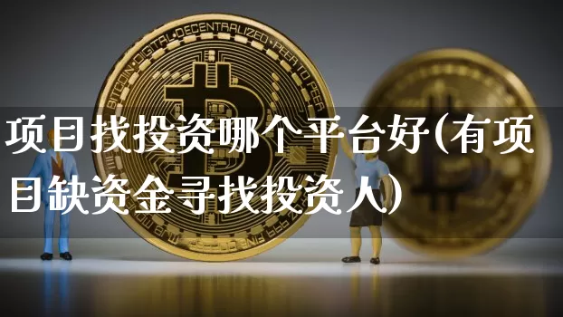项目找投资哪个平台好(有项目缺资金寻找投资人)_https://www.cangshenghg.com_北交所_第1张