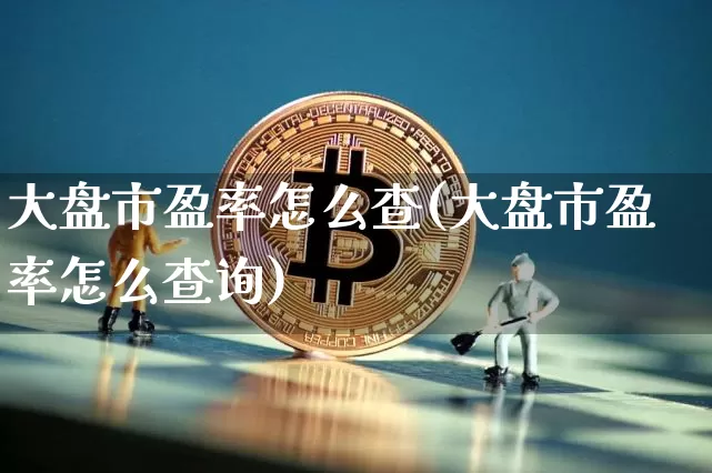 大盘市盈率怎么查(大盘市盈率怎么查询)_https://www.cangshenghg.com_创业板_第1张