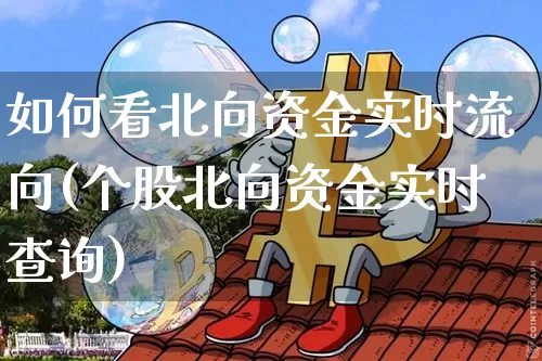 如何看北向资金实时流向(个股北向资金实时查询)_https://www.cangshenghg.com_创业板_第1张