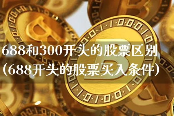 688和300开头的股票区别(688开头的股票买入条件)_https://www.cangshenghg.com_财经新闻_第1张
