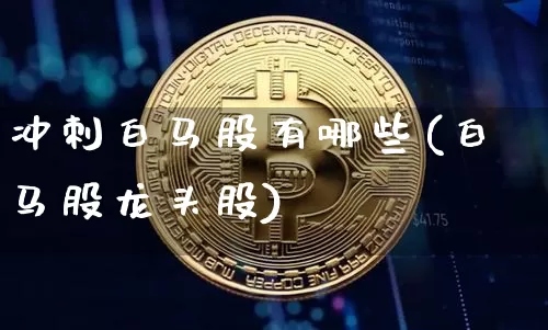 冲刺白马股有哪些(白马股龙头股)_https://www.cangshenghg.com_创业板_第1张