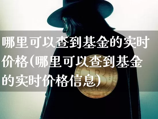 哪里可以查到基金的实时价格(哪里可以查到基金的实时价格信息)_https://www.cangshenghg.com_北交所_第1张