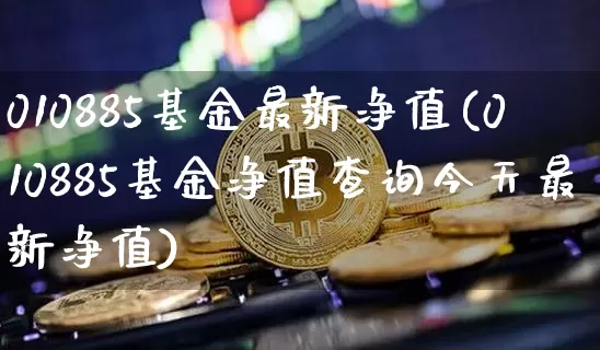 010885基金最新净值(010885基金净值查询今天最新净值)_https://www.cangshenghg.com_北交所_第1张