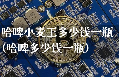 哈啤小麦王多少钱一瓶(哈啤多少钱一瓶)_https://www.cangshenghg.com_创业板_第1张