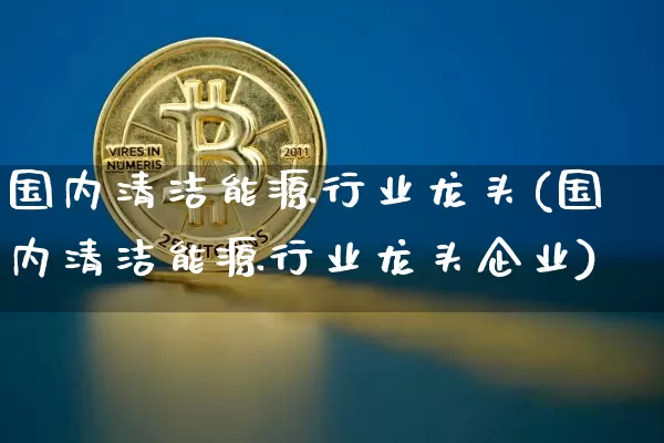 国内清洁能源行业龙头(国内清洁能源行业龙头企业)_https://www.cangshenghg.com_北交所_第1张