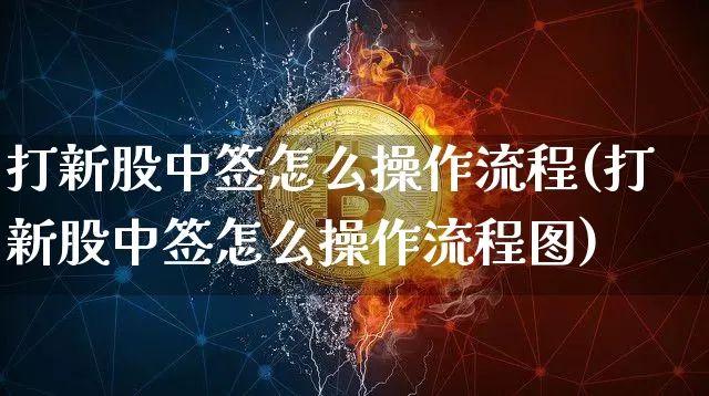 打新股中签怎么操作流程(打新股中签怎么操作流程图)_https://www.cangshenghg.com_科创板_第1张