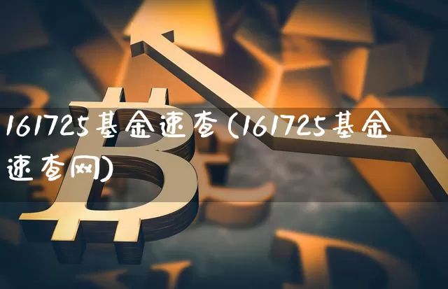 161725基金速查(161725基金速查网)_https://www.cangshenghg.com_科创板_第1张