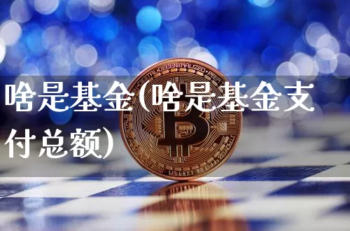 啥是基金(啥是基金支付总额)_https://www.cangshenghg.com_创业板_第1张