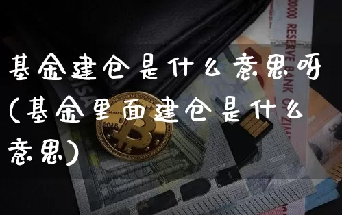 基金建仓是什么意思呀(基金里面建仓是什么意思)_https://www.cangshenghg.com_北交所_第1张