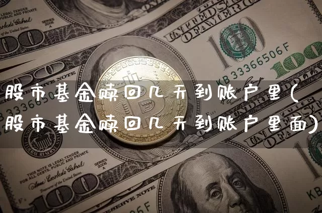 股市基金赎回几天到账户里(股市基金赎回几天到账户里面)_https://www.cangshenghg.com_北交所_第1张