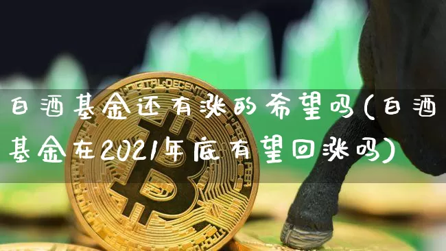 白酒基金还有涨的希望吗(白酒基金在2021年底有望回涨吗)_https://www.cangshenghg.com_财经新闻_第1张