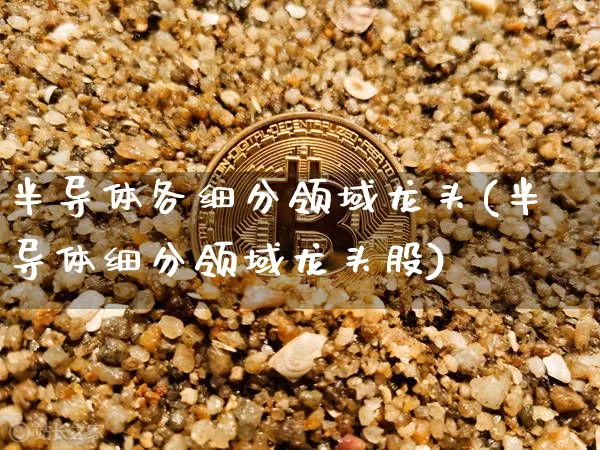 半导体各细分领域龙头(半导体细分领域龙头股)_https://www.cangshenghg.com_北交所_第1张