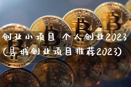 创业小项目 个人创业2023(县城创业项目推荐2023)_https://www.cangshenghg.com_科创板_第1张