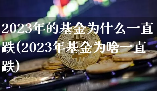 2023年的基金为什么一直跌(2023年基金为啥一直跌)_https://www.cangshenghg.com_北交所_第1张