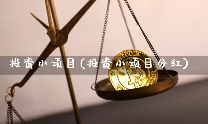 投资小项目(投资小项目分红)_https://www.cangshenghg.com_科创板_第1张