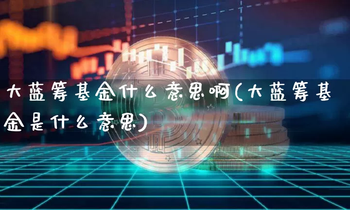大蓝筹基金什么意思啊(大蓝筹基金是什么意思)_https://www.cangshenghg.com_科创板_第1张