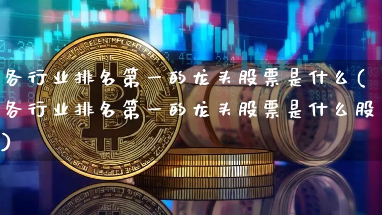 各行业排名第一的龙头股票是什么(各行业排名第一的龙头股票是什么股)_https://www.cangshenghg.com_科创板_第1张