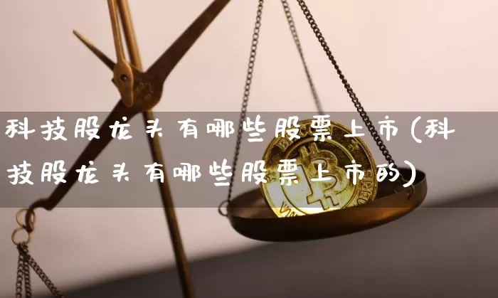 科技股龙头有哪些股票上市(科技股龙头有哪些股票上市的)_https://www.cangshenghg.com_创业板_第1张