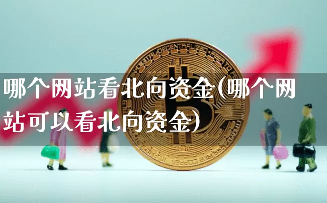 哪个网站看北向资金(哪个网站可以看北向资金)_https://www.cangshenghg.com_北交所_第1张