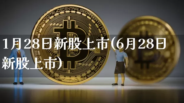 1月28日新股上市(6月28日新股上市)_https://www.cangshenghg.com_北交所_第1张