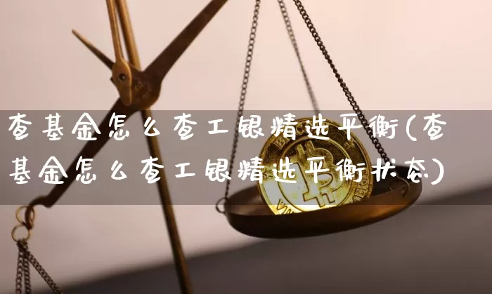 查基金怎么查工银精选平衡(查基金怎么查工银精选平衡状态)_https://www.cangshenghg.com_北交所_第1张