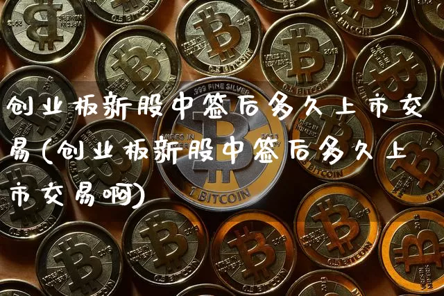 创业板新股中签后多久上市交易(创业板新股中签后多久上市交易啊)_https://www.cangshenghg.com_科创板_第1张