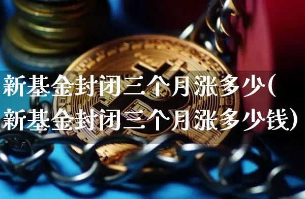新基金封闭三个月涨多少(新基金封闭三个月涨多少钱)_https://www.cangshenghg.com_北交所_第1张