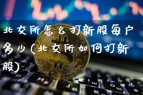 北交所怎么打新股每户多少(北交所如何打新股)_https://www.cangshenghg.com_北交所_第1张