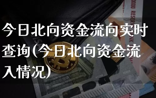 今日北向资金流向实时查询(今日北向资金流入情况)_https://www.cangshenghg.com_创业板_第1张
