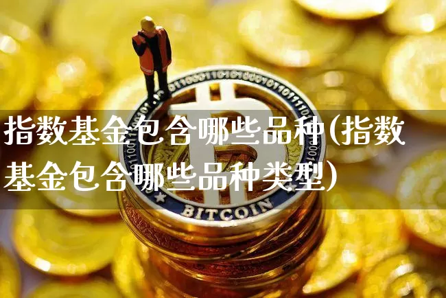 指数基金包含哪些品种(指数基金包含哪些品种类型)_https://www.cangshenghg.com_科创板_第1张