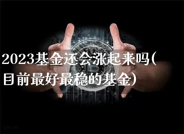 2023基金还会涨起来吗(目前最好最稳的基金)_https://www.cangshenghg.com_北交所_第1张