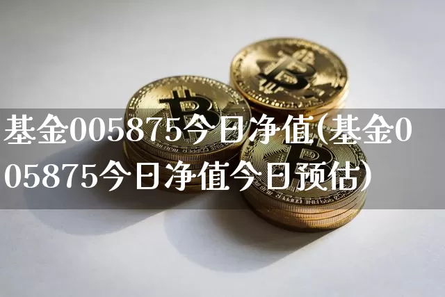 基金005875今日净值(基金005875今日净值今日预估)_https://www.cangshenghg.com_财经新闻_第1张