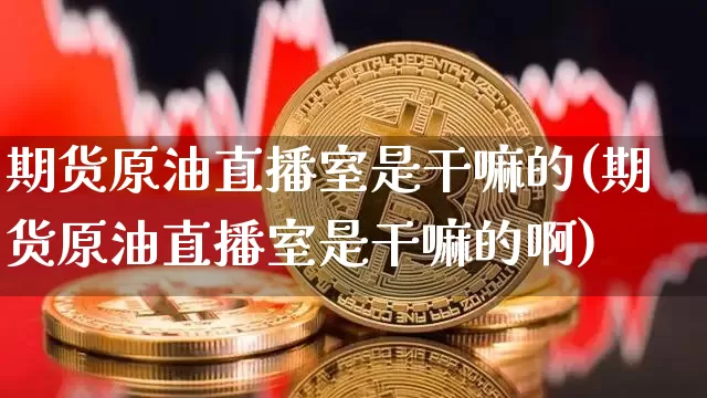 期货原油直播室是干嘛的(期货原油直播室是干嘛的啊)_https://www.cangshenghg.com_科创板_第1张
