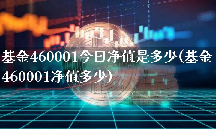 基金460001今日净值是多少(基金460001净值多少)_https://www.cangshenghg.com_科创板_第1张